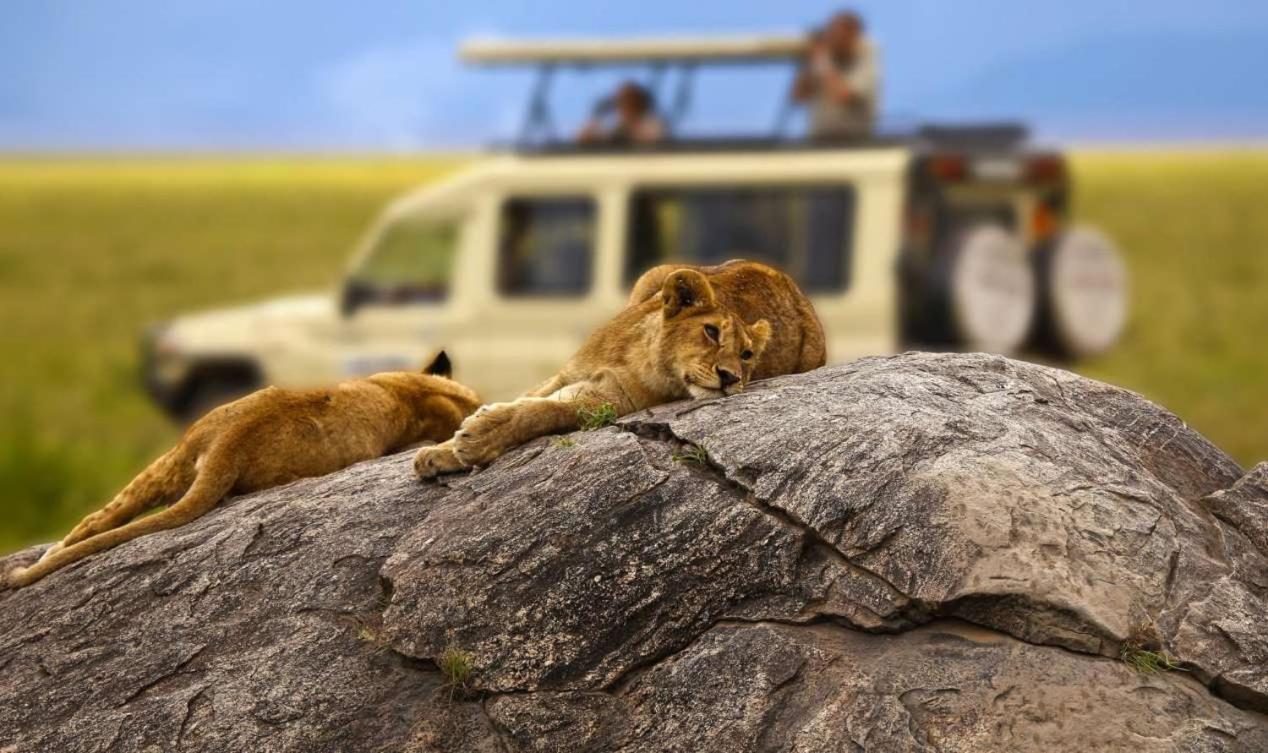 Rayan Apartments & Safaris أروشا المظهر الخارجي الصورة